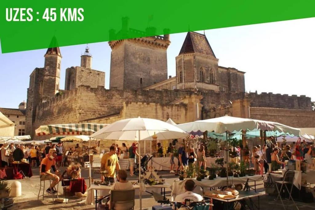 La Balance Des Doms - 1 Min Du Palais Des Papes - Intra-Muros Avignon Buitenkant foto
